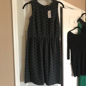 Loft fit and flare dress NWT